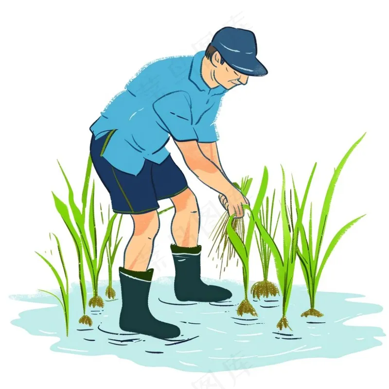 农民种植水稻庄稼劳动人民卡通插画免抠(1024x1024)