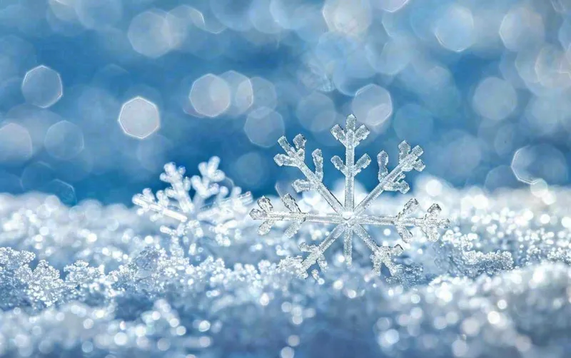 冬天雪花闪耀素材唯美立冬冬至小雪大雪摄影图(1376x864)