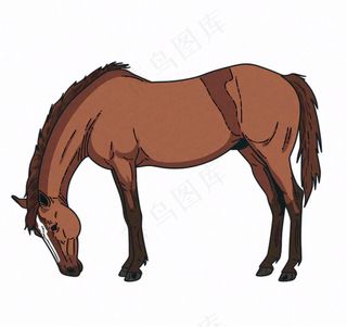 骏马马匹动物卡通插画免抠