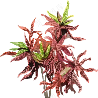 手绘植物草花免扣素材