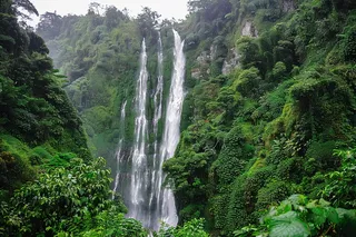 森林山谷的瀑布摄影图