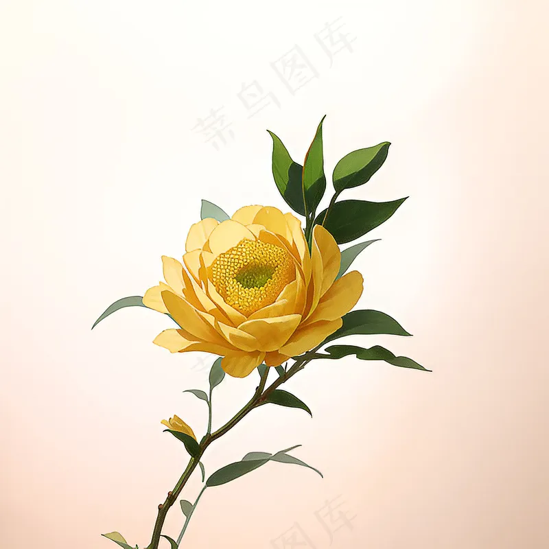 白色黄色手绘新中式风格花植物208