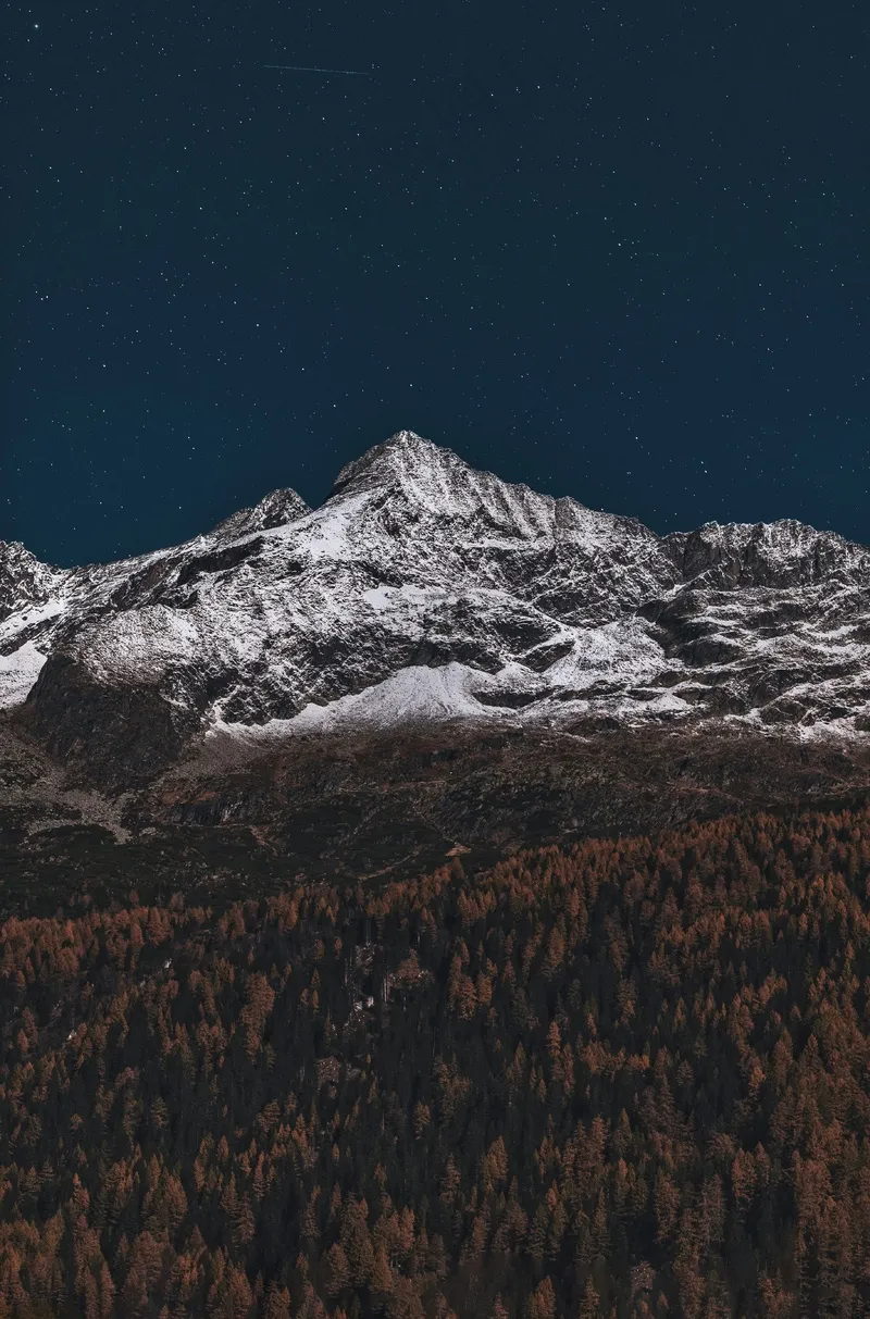 星空下的雪山与秋林