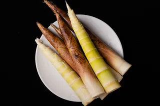 新鲜竹笋春笋食材