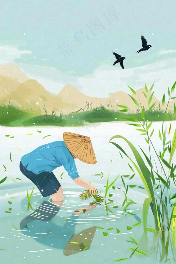 春耕农民种植水稻水田春雨燕子小满芒种春分卡通插画背景(896x1344)