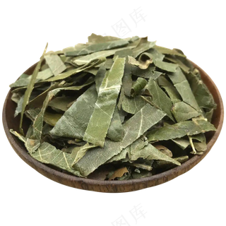 枇杷叶免扣摄影