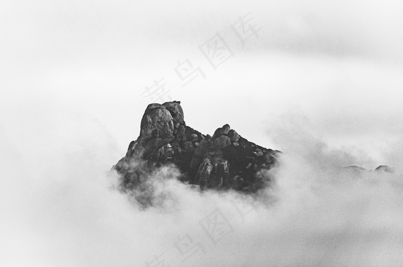 云雾森林图片