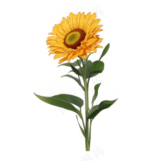 黄色向日葵免抠素材12
