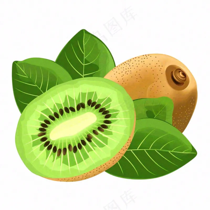 猕猴桃水果卡通插画免抠(1024x1024)