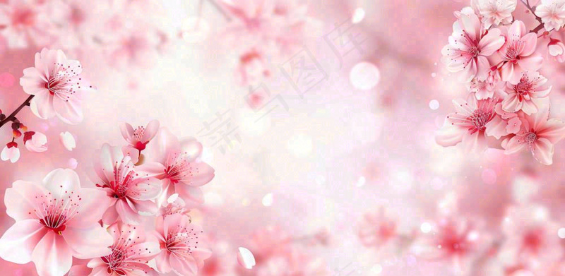 粉色樱花桃花梦幻粉红春天立春春分背景(1568x768)