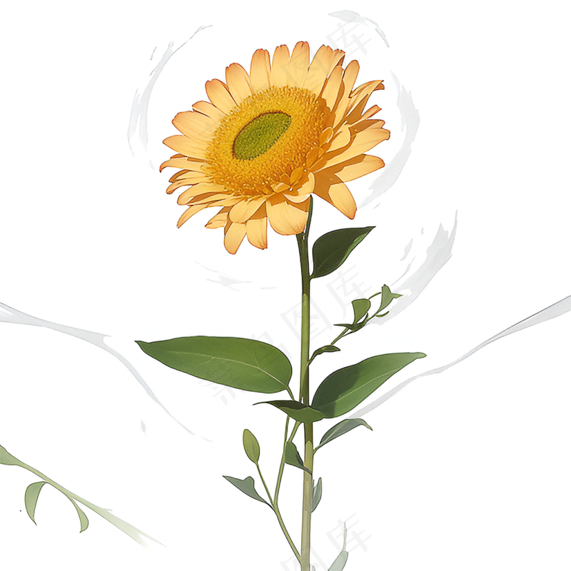 黄色向日葵免抠素材107