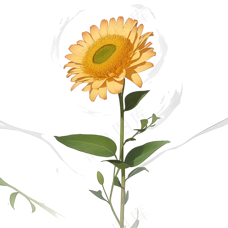 黄色向日葵免抠素材107