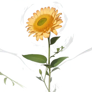 黄色向日葵免抠素材107