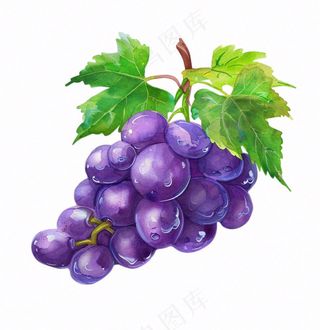 紫葡萄水果水彩插画免抠