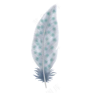 水彩羽毛免扣 高清 素材