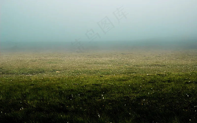 云雾森林图片