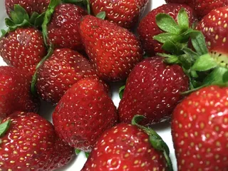 新鲜草莓水果