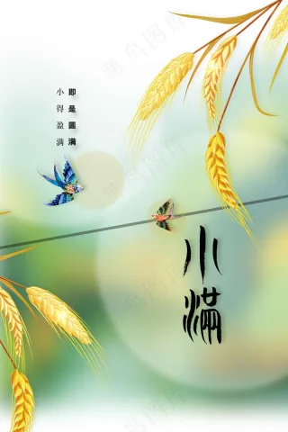 小满节气传统海报