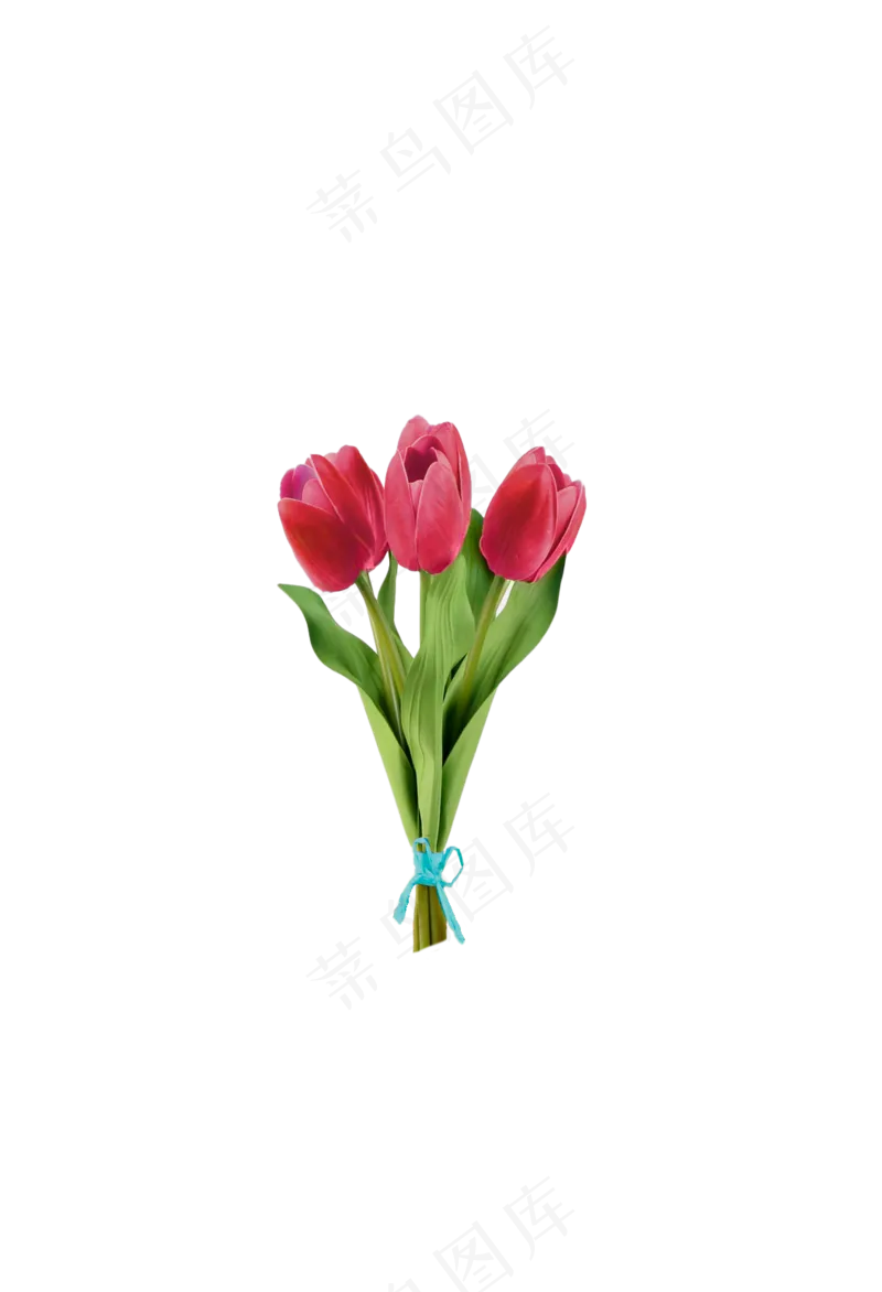 红色郁金香 免抠