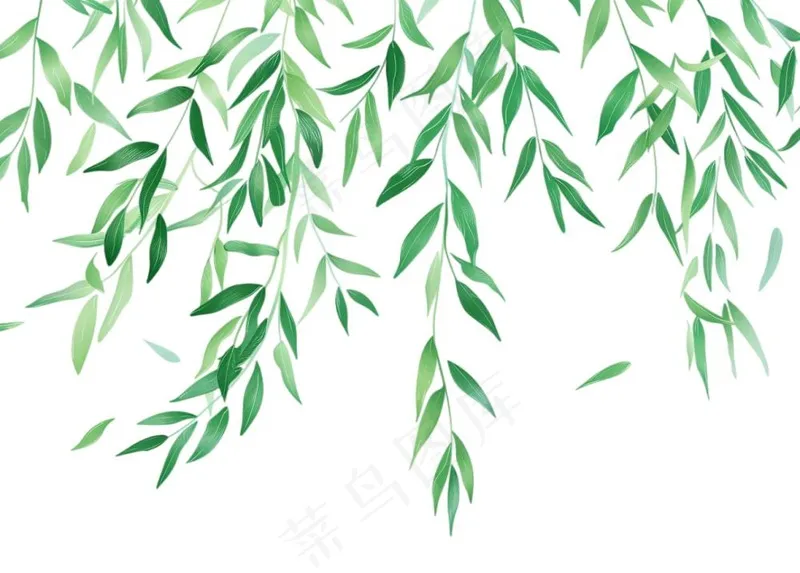 柳树柳条春天绿叶卡通插画免抠(1296x928)