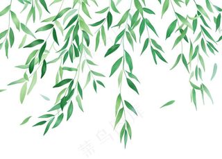 柳树柳条春天绿叶卡通插画免抠