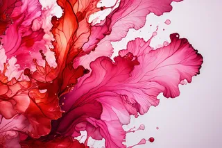 大特写红色粉红色酒精墨层飞溅抽象背景图片