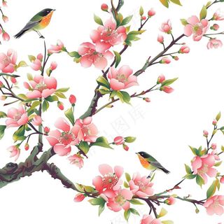 春天桃花树枝小鸟插画免抠