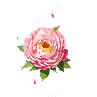 粉色花朵桃花玫瑰免抠素材84