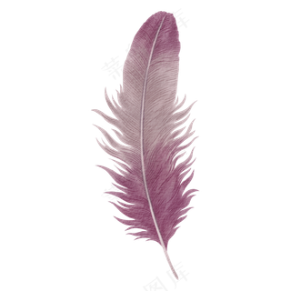 水彩羽毛素材