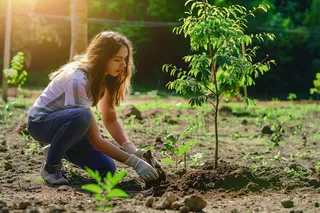 植树树苗保护环境摄影图