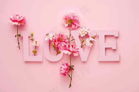 花卉贺卡妇女节花平铺着带有LOVE字母粉色背景摄影图