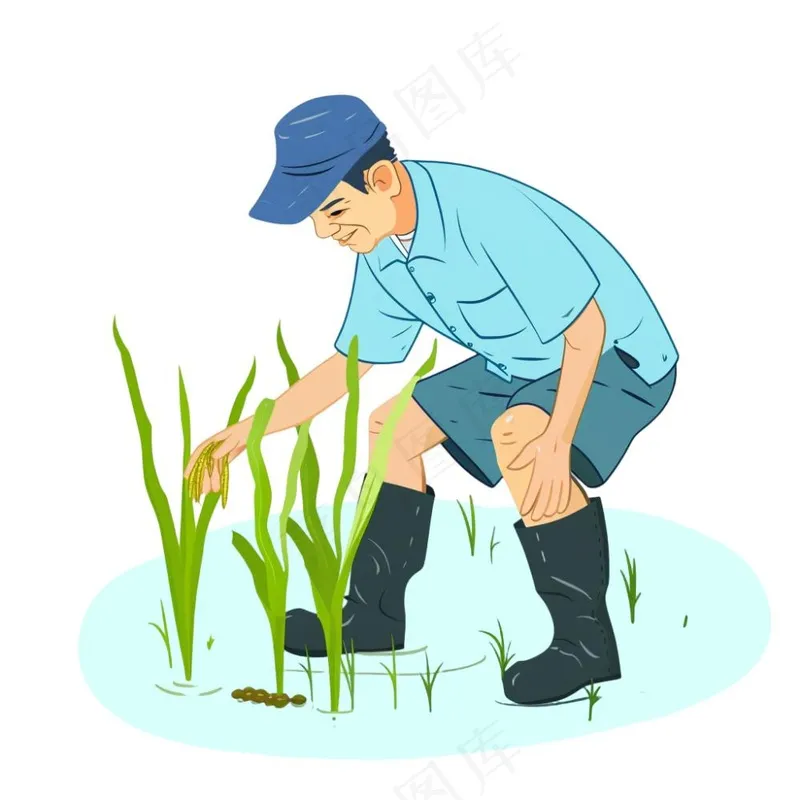 农民种植水稻庄稼劳动人民卡通插画免抠(1024x1024)