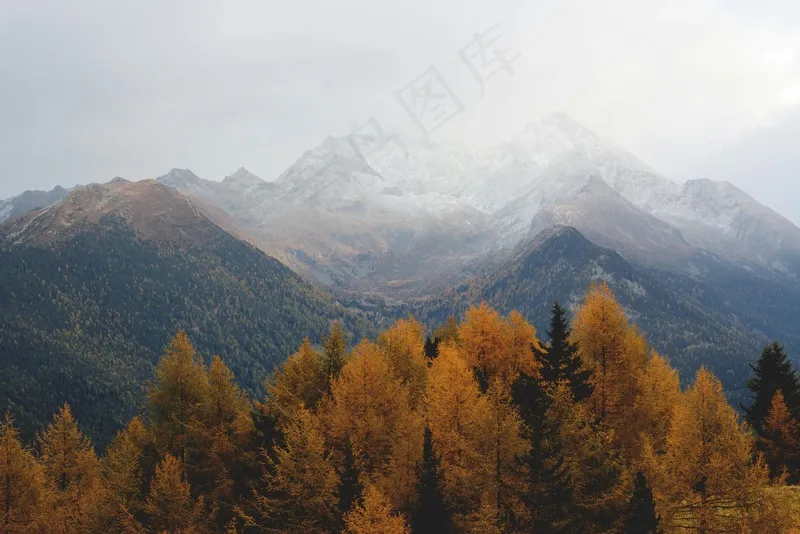 深秋的山谷