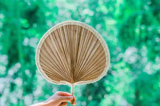 夏季薄扇休闲背景