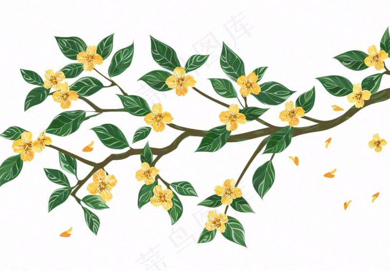 金秋桂花黄花树枝卡通插画免抠(1312x912)