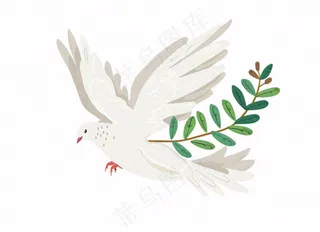 飞鸽携绿枝白鸽和平卡通插画免抠