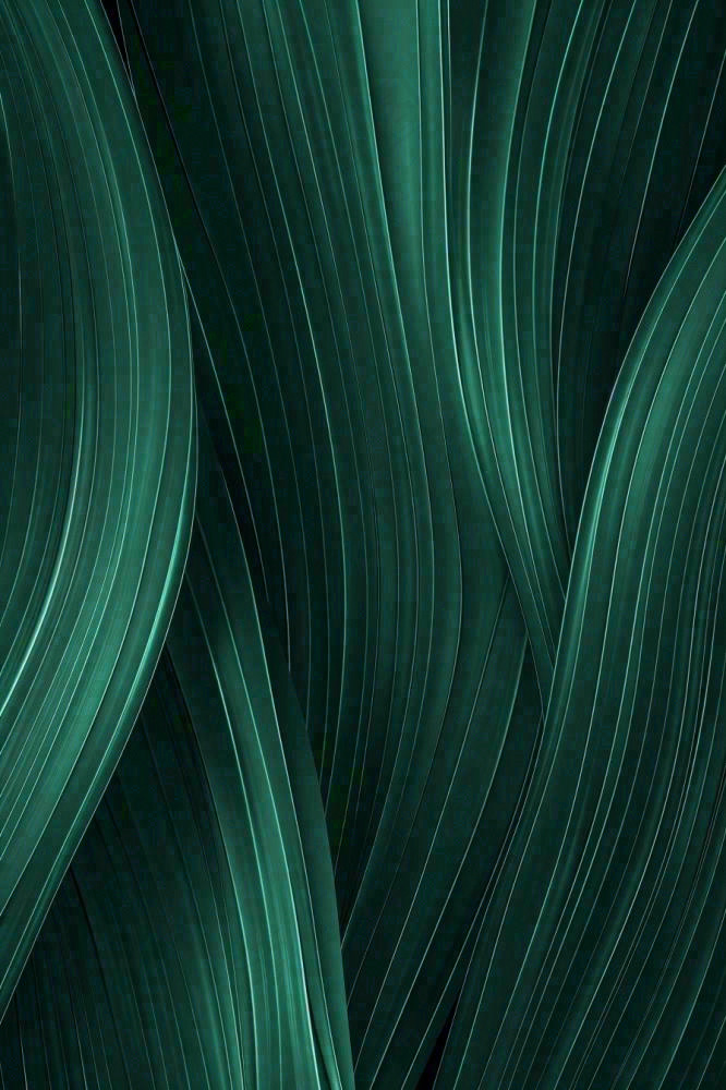 绿色纹理叶子墨绿端午夏天插画纹理背景