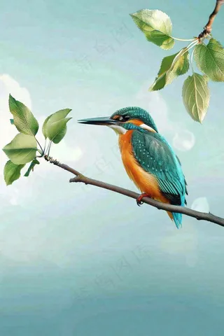 春天树枝上的小鸟春意立春惊蛰春分背景