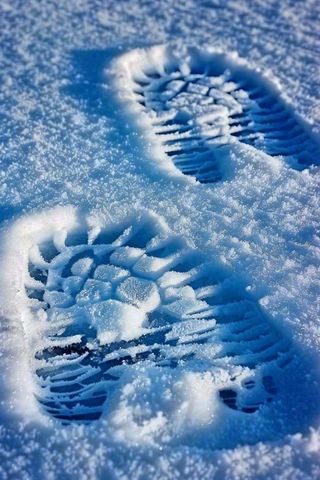 冬天雪地里的脚印蓝白色小雪大雪摄影图