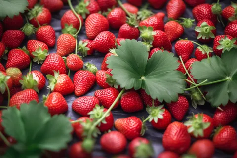草莓水果摄影图 草莓水果摄影图