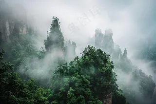 山林森林绿色大自然风景摄影图