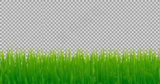 小草草地素材抠图装饰用绿色风格