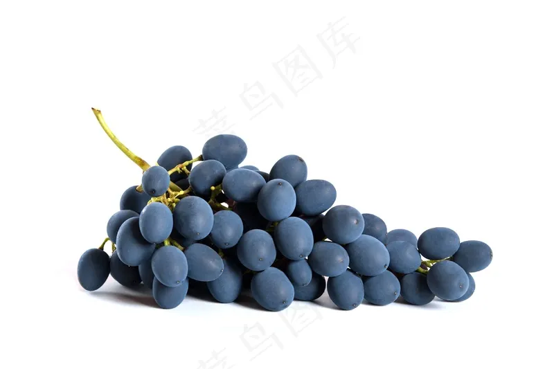 提子 白底图