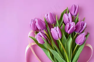 紫色郁金香鲜花妇女节摄影图