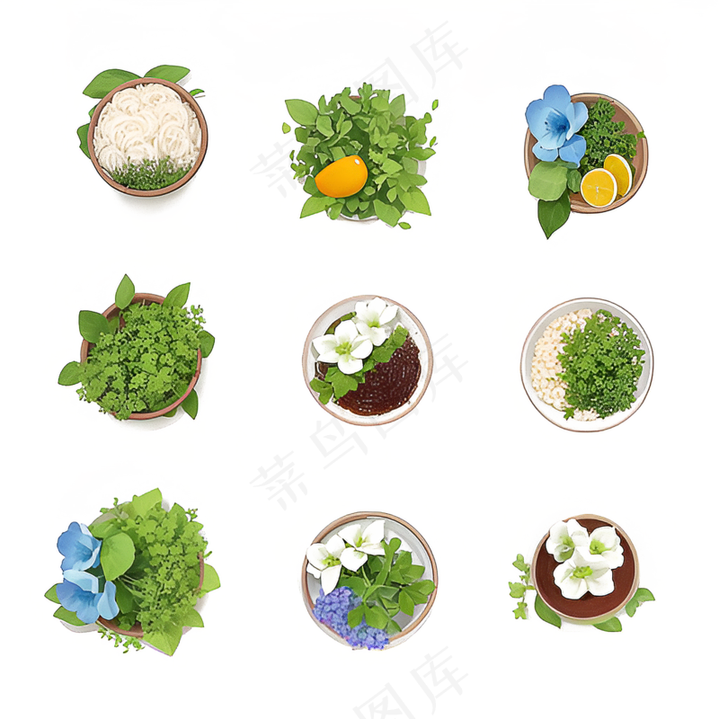 绿色手绘小植物花草系列免抠素材101