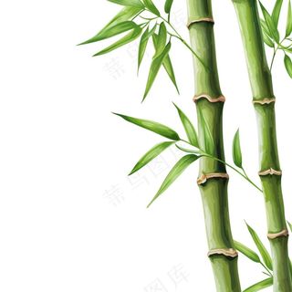竹子竹叶绿色卡通插画免抠