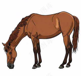 骏马马匹动物卡通插画免抠