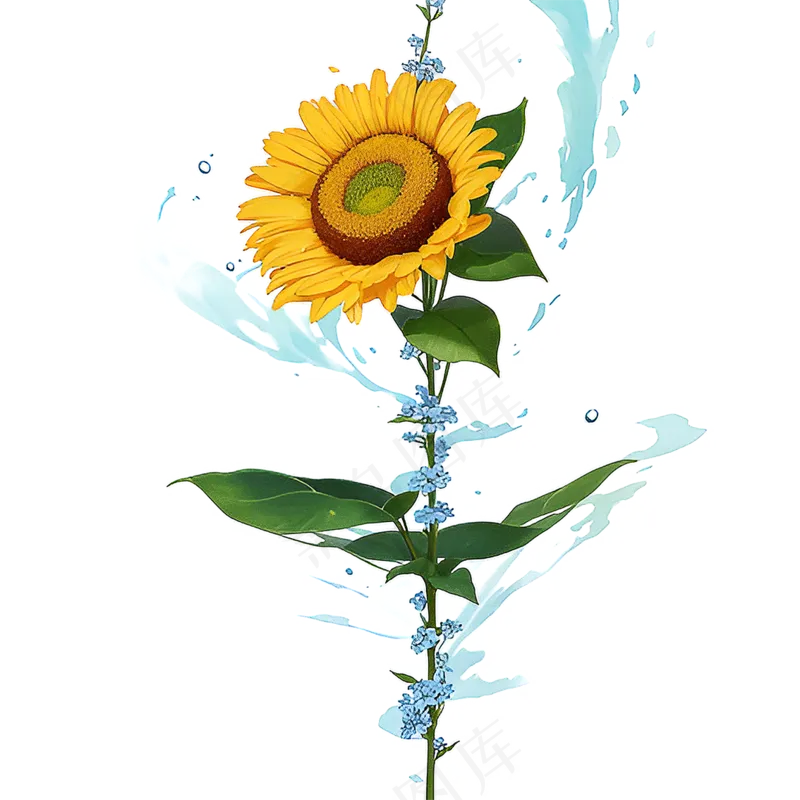黄色向日葵免抠素材21