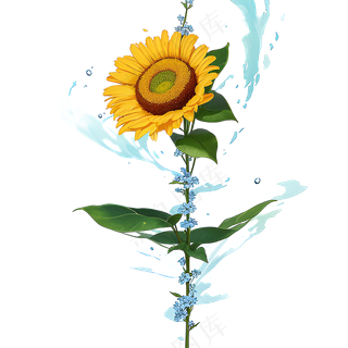 黄色向日葵免抠素材21