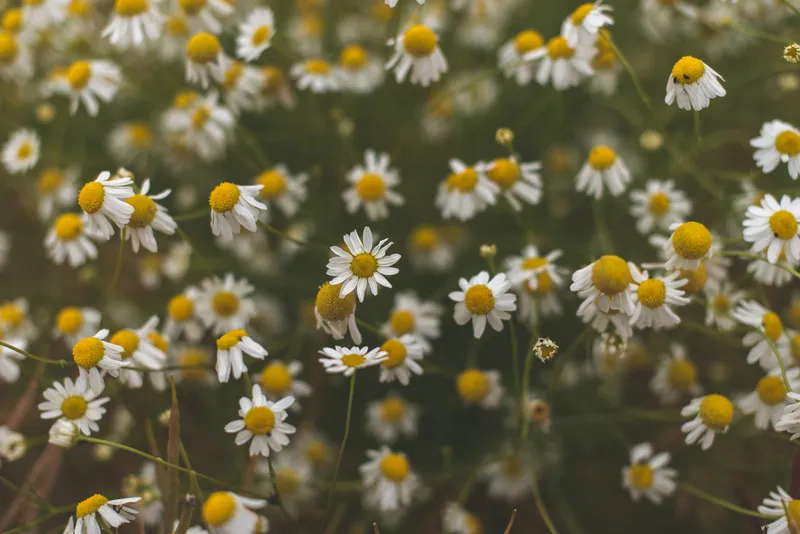 湖泊山峰图片 湖泊山峰图片
